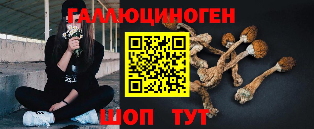 купить наркоту  Галлюциногенные грибы GOLDEN TEACHER  Вход с VPN  Сатка 
